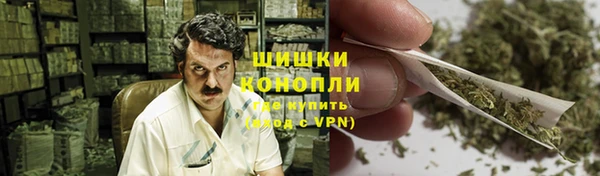 сатива Козловка