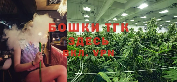 сатива Козловка