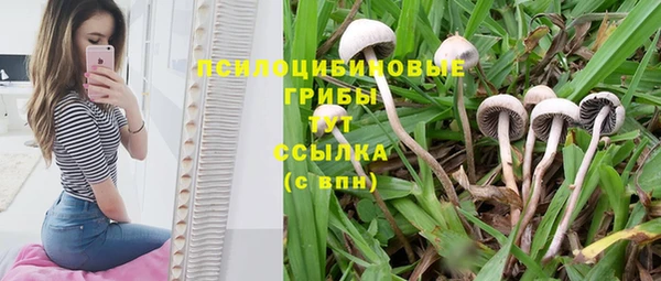 тгк Киреевск