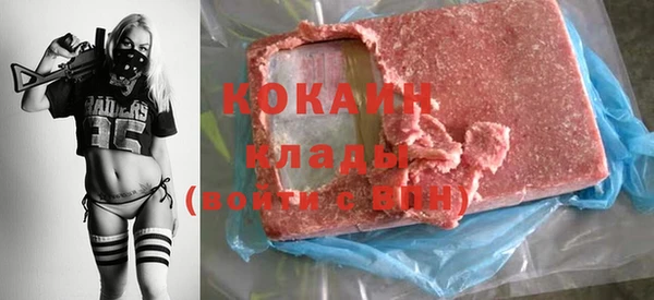 сатива Козловка
