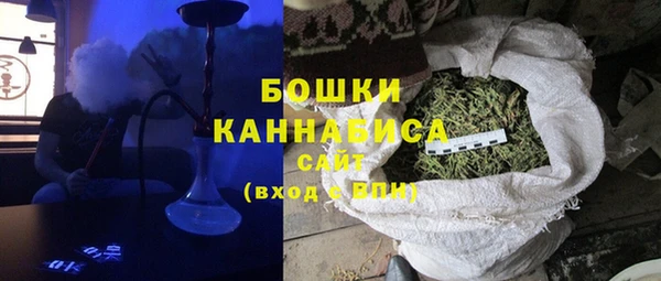 сатива Козловка