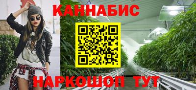 ECSTASY Камышлов