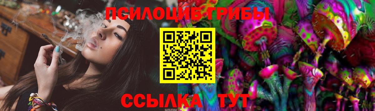 Псилоцибиновые грибы прущие грибы  купить  сайты  Нижневартовск 